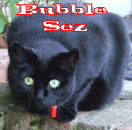 Bubble Sez: Meow!
