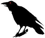 Nevermore