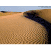 Sand Paper