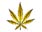 The Stoner Award