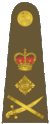 Rank Order