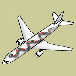 Planes & Snakes