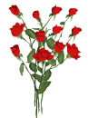 A Bunch of Roses