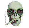 It'll Kill Ya!