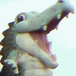 Make it Snappy!