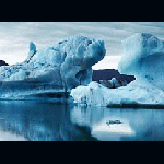 Go With The Floe