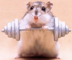 Umph! Work it! Umph!