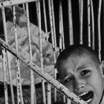 Poor Little Orphans