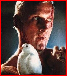 Quintessential Rutger