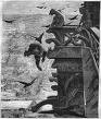 Classic Fiction: The Hunchback of Notre Dame