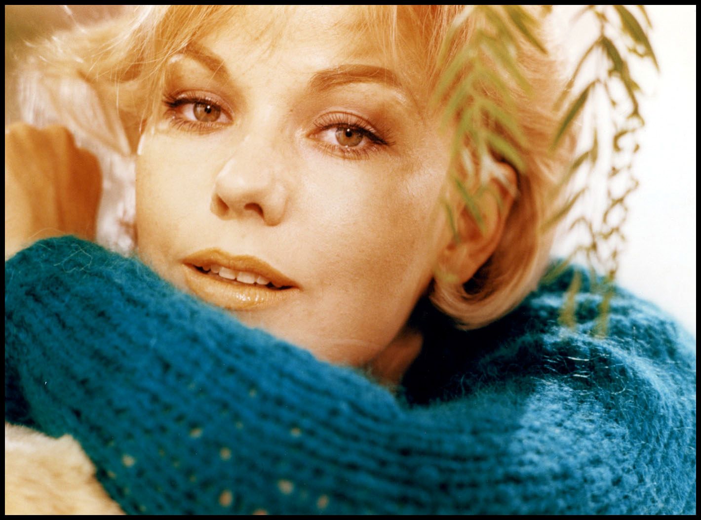 Falling for Kim Novak