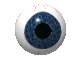 Thefoxboy's  Got A Keen Eye Award.